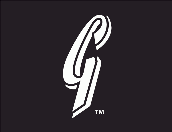 San Jose Giants 2003-2010 Cap Logo iron on transfers for clothing